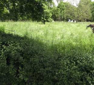 Kloster Großcomburg