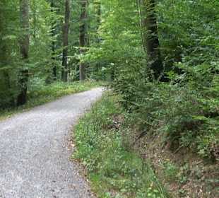 Altwege Rundwanderung Bebenhausen