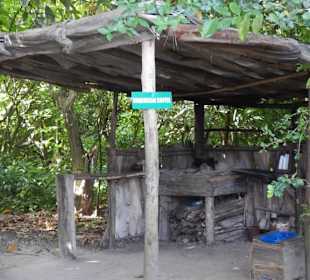 Vorführung Kaffee Röstung 