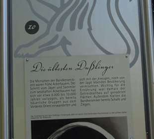 Fürstengrab Dußlingen