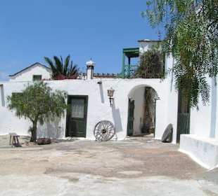 Lanzarote - Jardín de Cactus