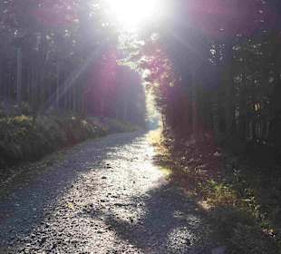 Riesengebirge/Karkonosze