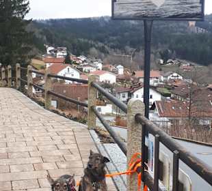 Stadtrundgang Bodenmais