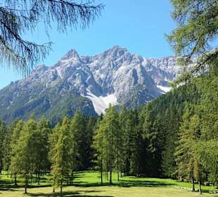 Lärchenwiese im Fischleintal