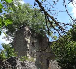 Burgruine Niederhaus