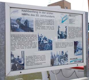 Infoschild zum Krabbenfang am Museumshafen Büsum 