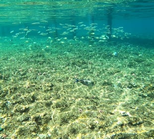 Schnorcheln Marsa Alam