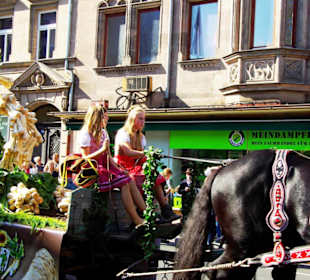 Festwagen Baiersdorfer