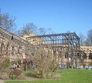 Der Botanische Garten im März 14