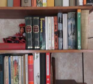 Schlössle von Effringen