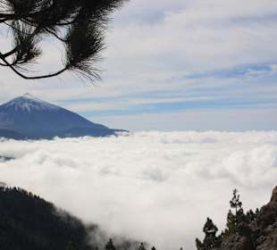 Der Teide erhebt sich über den Passatwolken