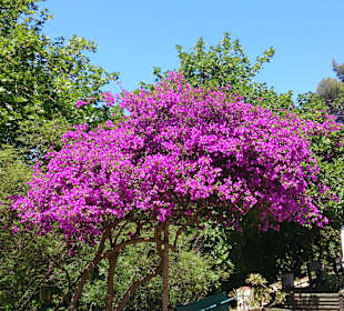 Tal der Schmetterlinge