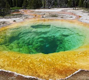 Morning Glory Yellowstone