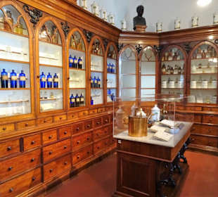 Rundgang durch das Medizinmuseum