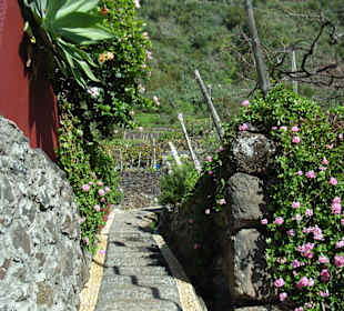 Gasse in Jardim Do Mar