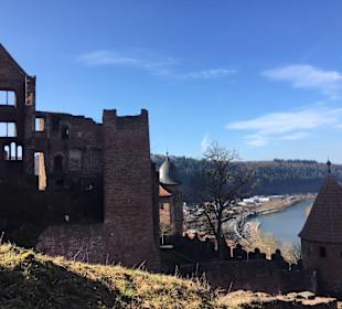 Burg Wertheim 