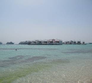 Morze przy Paradise Island