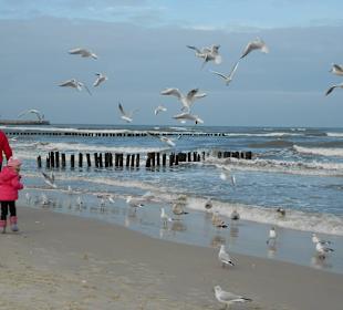 Allles ist in Bewegung