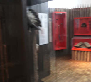 Museum für Völkerkunde