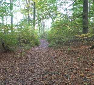 Sonnenfels Sankt Johann