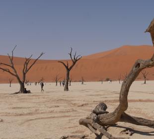 Dünen Sossusvlei
