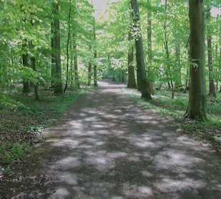 Rundwanderweg 