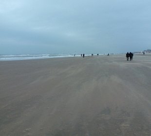 Strand von Zeevoort