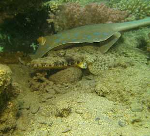 Eigentlich war genug Platz