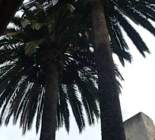 Besichtigung von San Cristobal de La Laguna