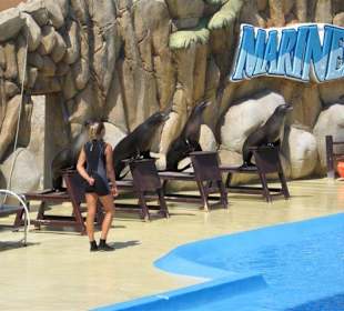 Marineland