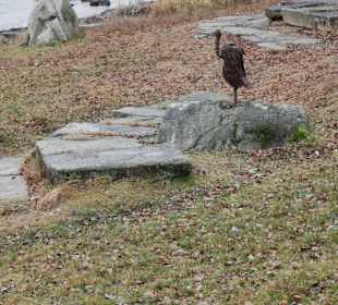 Wandern Waldmünchen