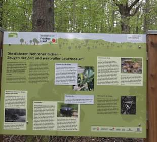 Wanderweg Firstwaldrunde