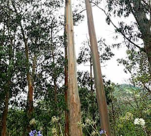 Schöne Landschaft Nonnental