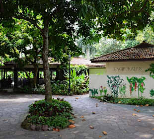 Botanischer Garten Singapur
