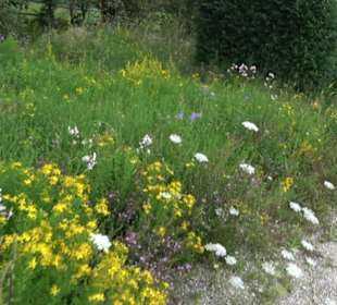 ALB-GOLD Naturgarten