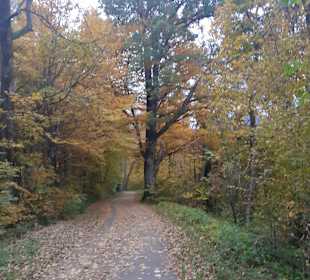 Wandern Bad Reichenhall