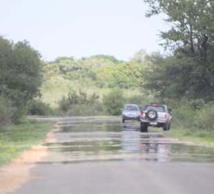 Strasse im Krüger Nationalpark