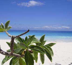 Anse auf Sister Island