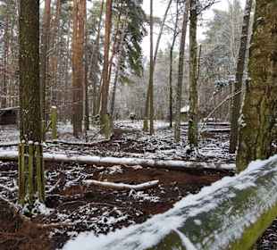 Geht ganz nach hinten