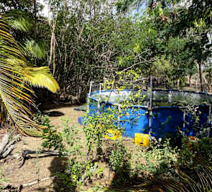 Rundgang durch die Idylle von Mimi´s Eco Farm