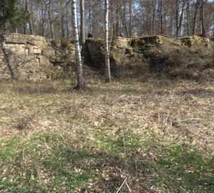 Geologischer Lehrpfad Kirnbachtal