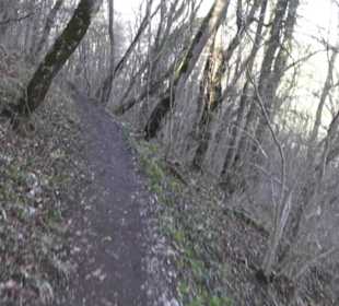 Wanderweg zur Achalm
