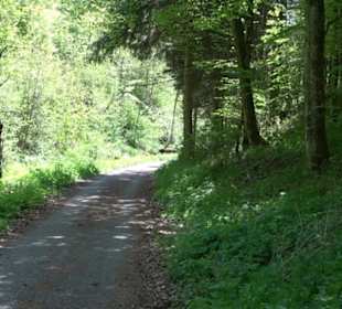 Magolsheimer Buchtalweg