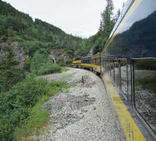 Mit der Train in der Natur Alaskas