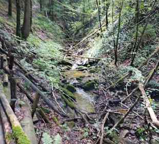 Wasserfall Reitnerbachklamm