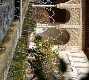 Dettaglio del giardino