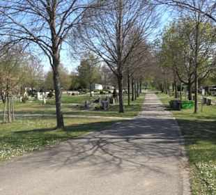 Neuer Friedhof