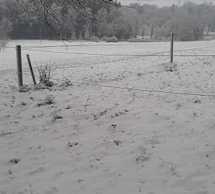 Wandern St. Georgen im Attergau