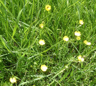 Eindruck vom Spaziergang Ostheimer Streifberg-Tour