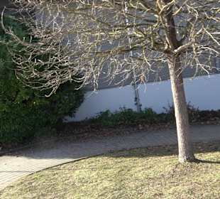 Ballspielhalle Walddorfhäslach